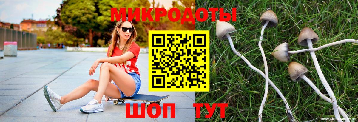Галлюциногенные грибы Magic Shrooms Клин