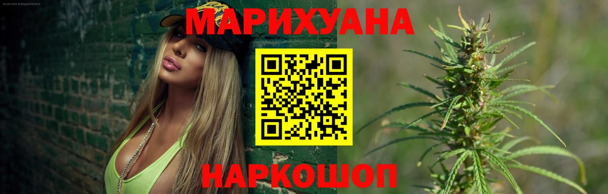 Конопля сатива Клин